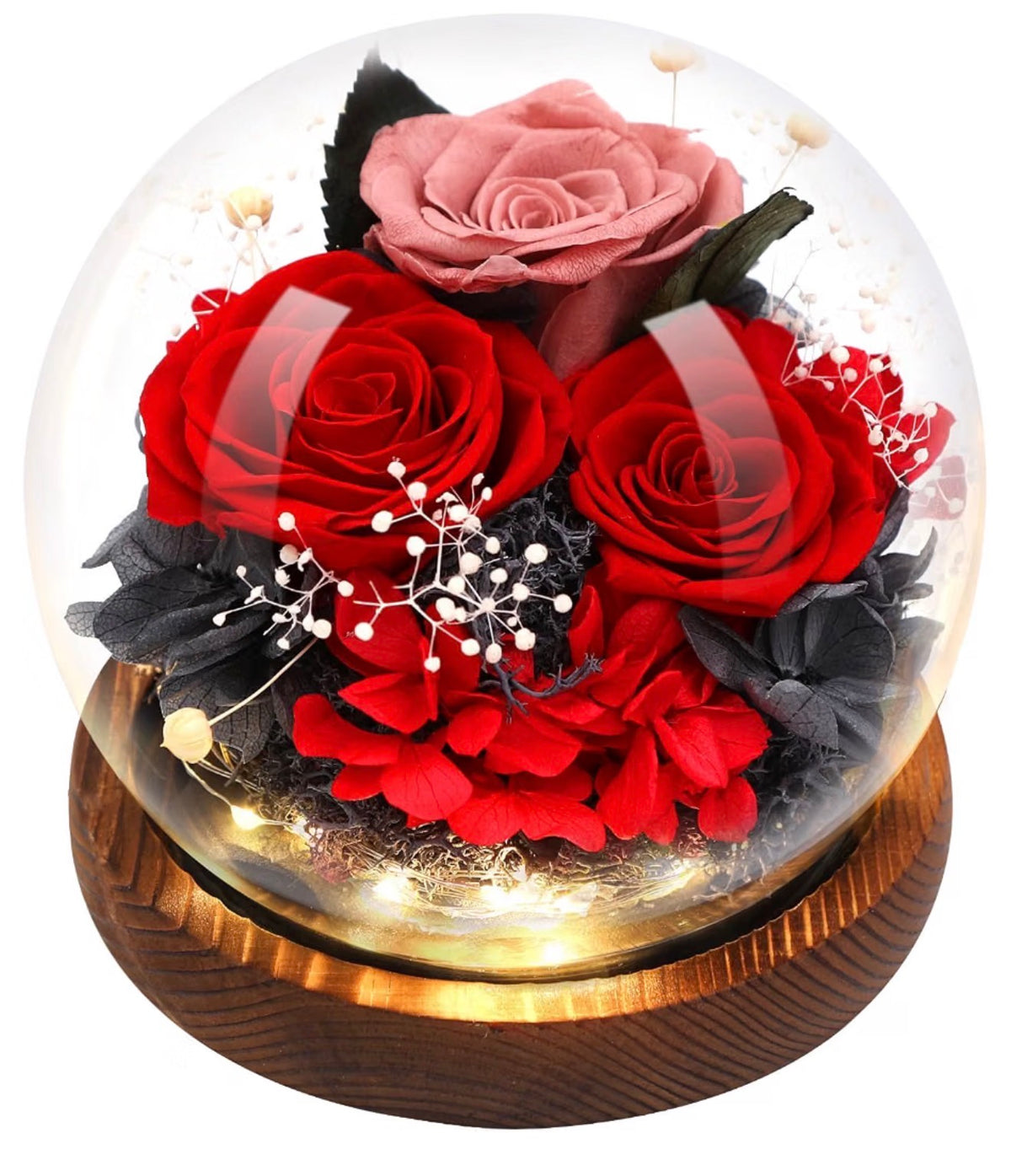 Preserved Flower Rose in Glass Dome with LED Light(red) (USA Express Delivery)