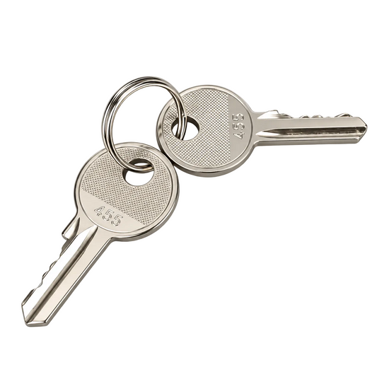 House Key  2PCS 455 Key (Standard Delivery)