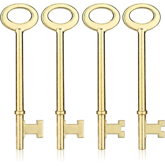 House key long (USA Express Delivery)