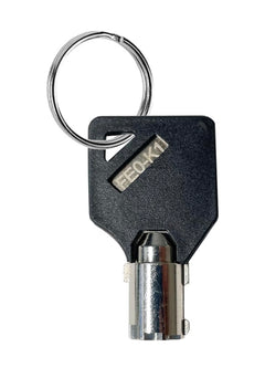 Safe Key (Standard Delivery)