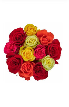 Fresh-Cut Roses Flower Bunch - Rainbow (USA& CANADA same day delivery)