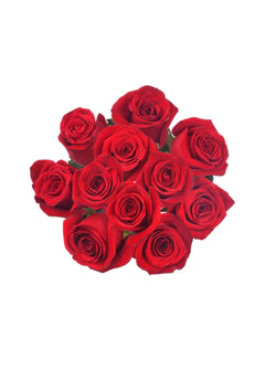 Cb fresh rose (USA & CANADA SAME DAY DELIVERY)