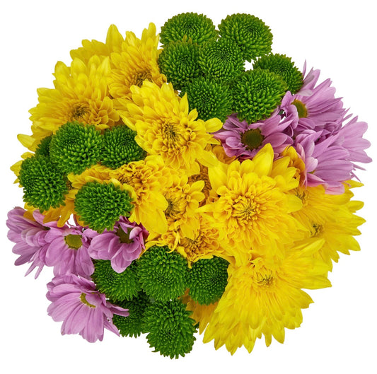Fresh-Cut Small Rainbow Flower ( 7 Stems ) ( Same Day Delivery USA &CANADA )