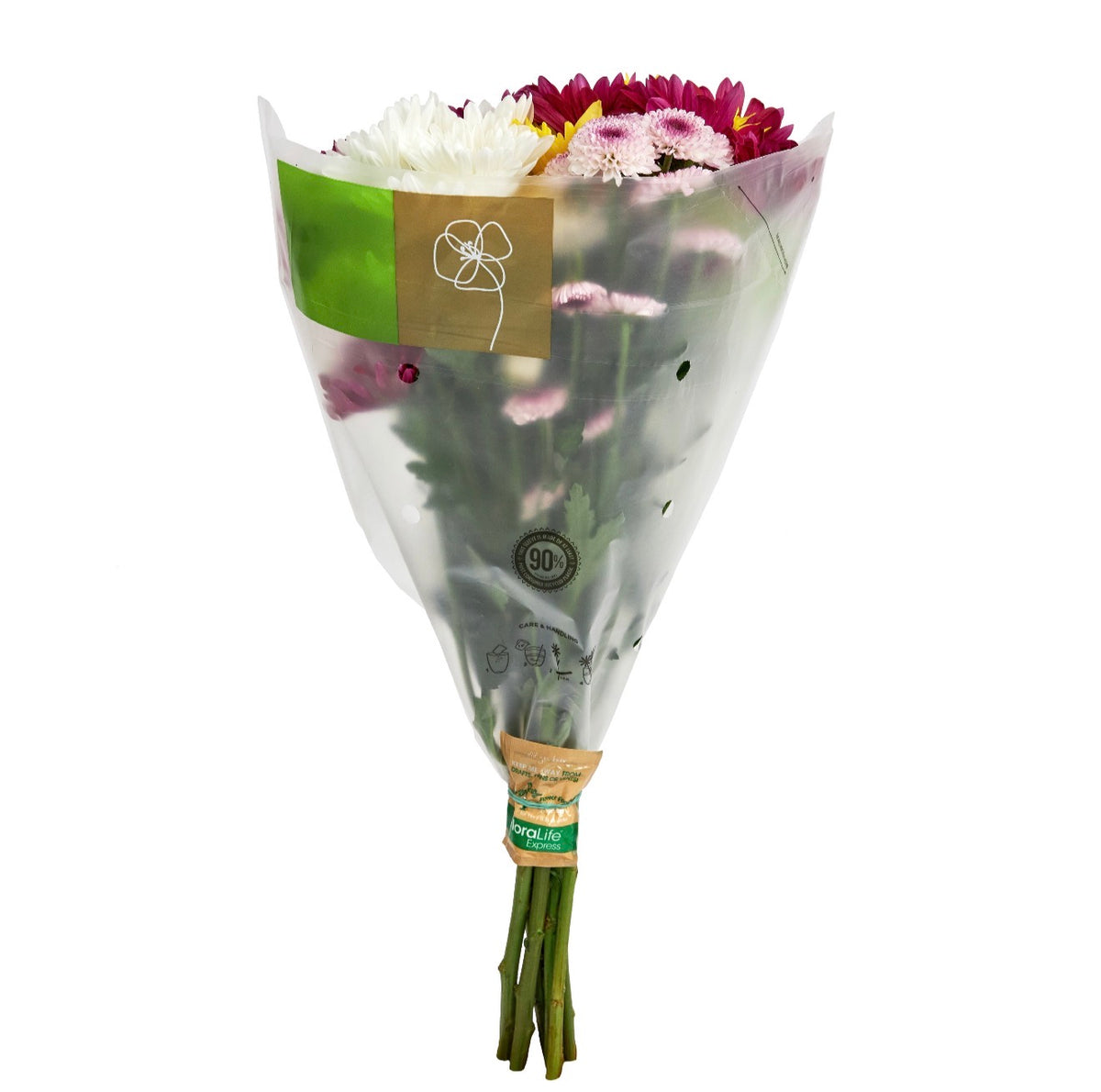 Fresh-Cut Small Rainbow Flower ( 7 Stems ) ( Same Day Delivery USA &CANADA )