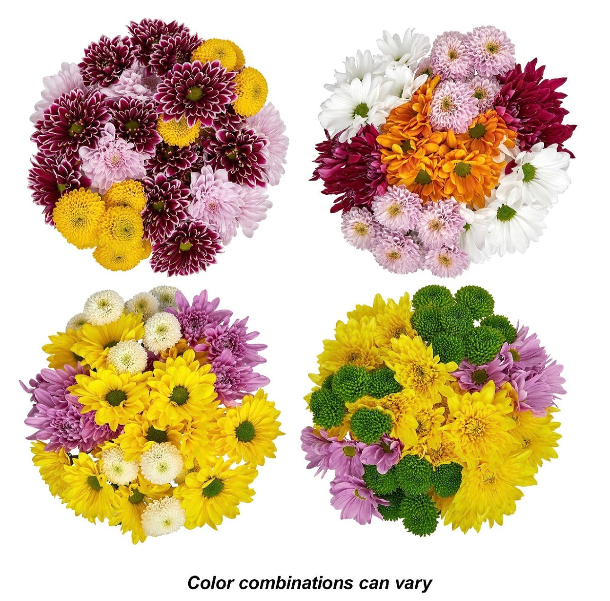 Fresh-Cut Small Rainbow Flower ( 7 Stems ) ( Same Day Delivery USA &CANADA )