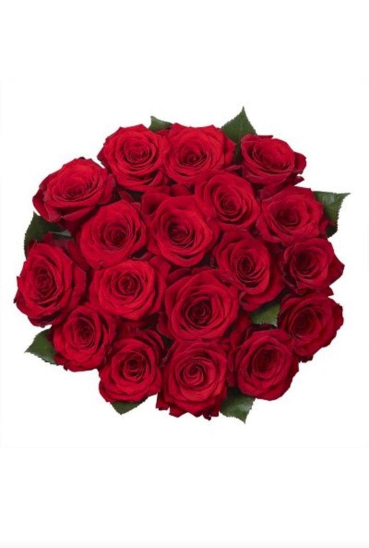 Fresh-Cut Flower Roses (USA & CANADA Same Day Delivery)