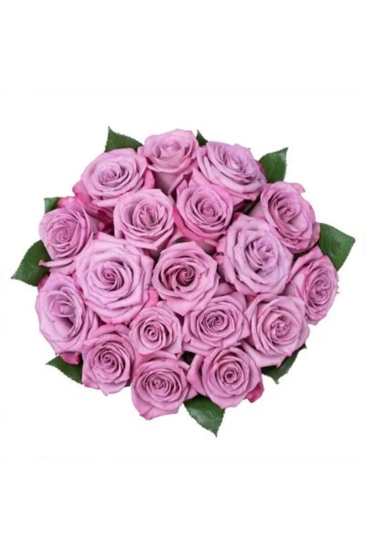 Fresh-Cut Flower Roses (USA & CANADA Same Day Delivery)
