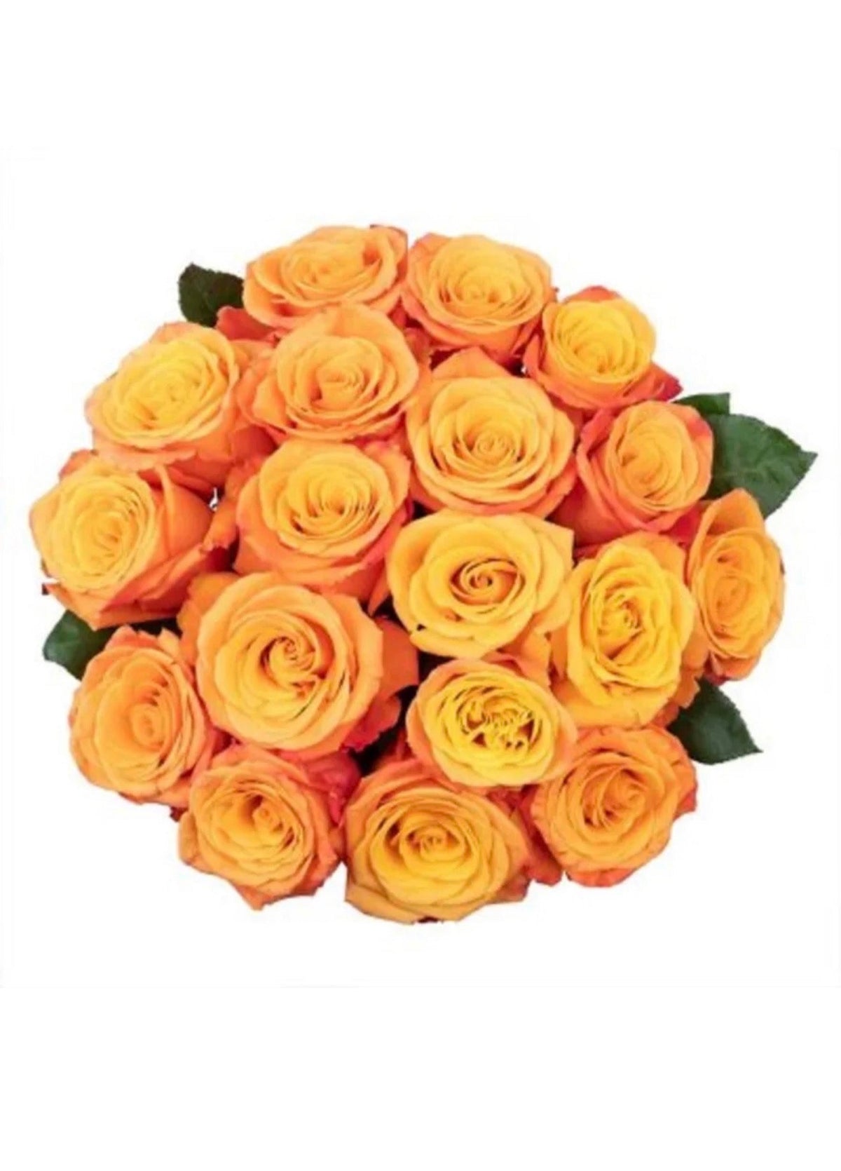 Fresh-Cut Flower Roses (USA & CANADA Same Day Delivery)