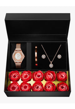 Luxury Jewelry Set (USA Express Delivery)