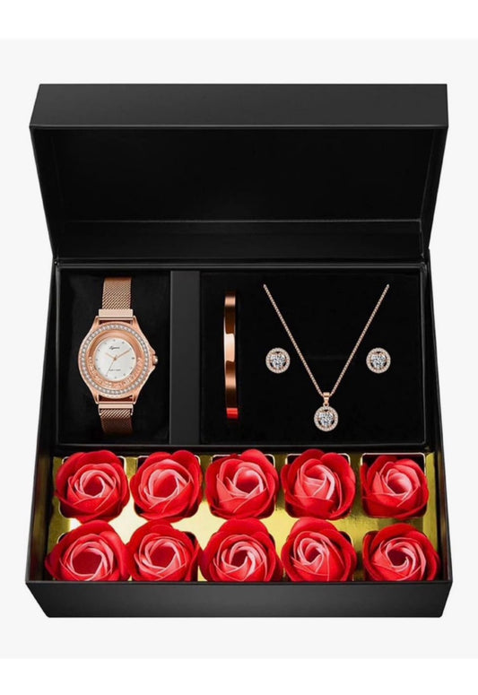 Luxury Jewelry Set (USA Express Delivery)