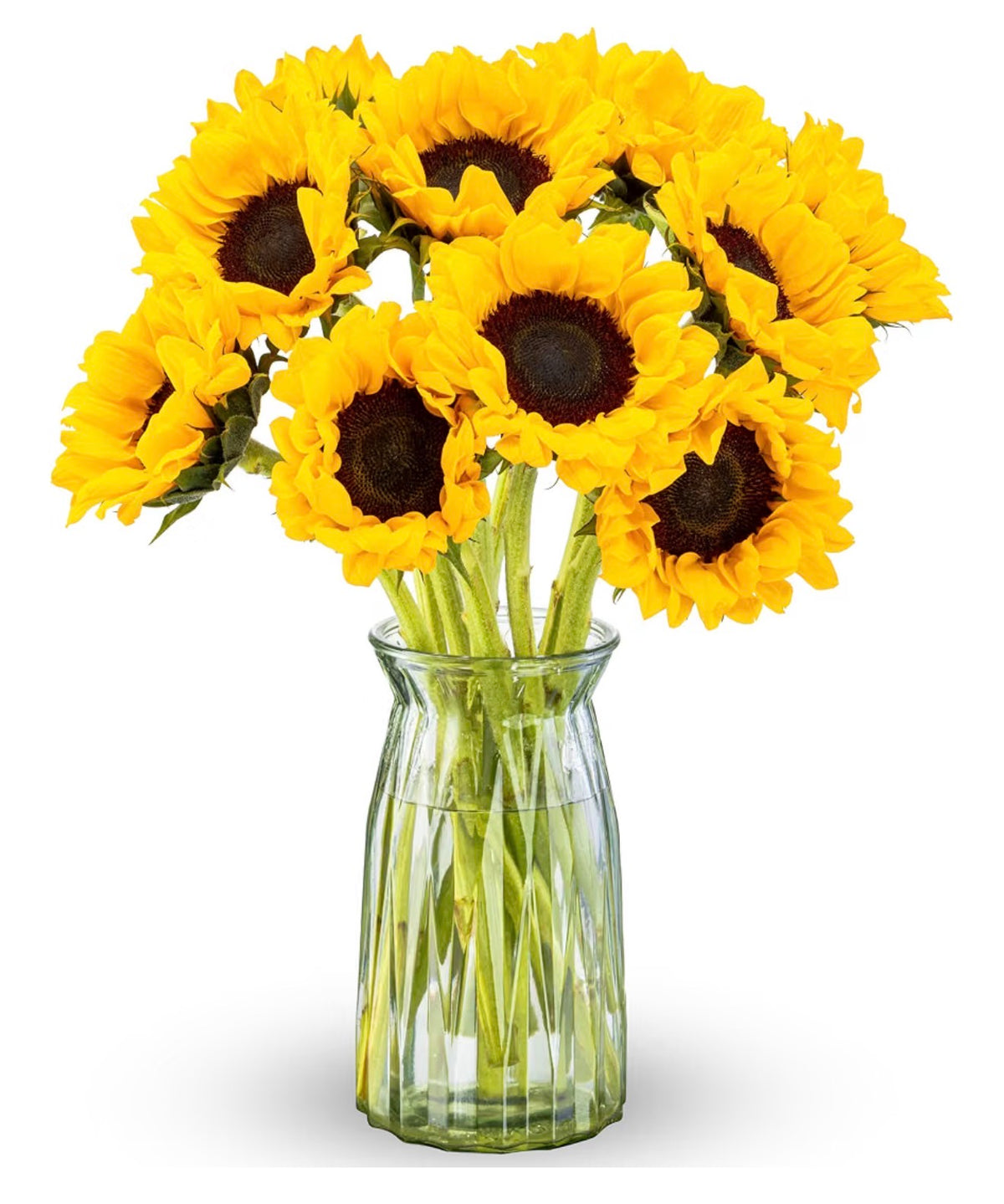 Real fresh cut Sunflowers with Glass Vase (USA Express Delivery)