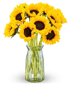 Real fresh cut Sunflowers with Glass Vase (USA Express Delivery)