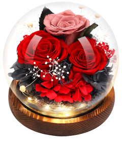Preserved Flower Rose in Glass Dome with LED Light(red) (USA Express Delivery)