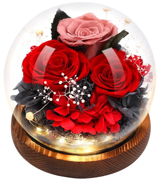 Preserved Flower Rose in Glass Dome with LED Light(red) (USA Express Delivery)