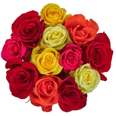 Fresh-Cut Roses Flower Bunch - Rainbow (USA& CANADA same day delivery)